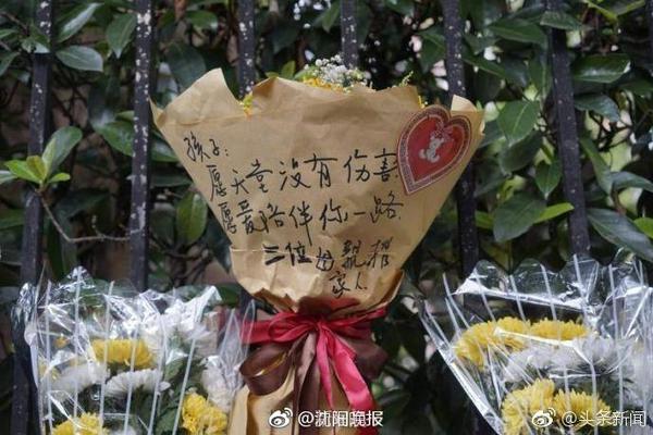 赏金大对决2025最新版
